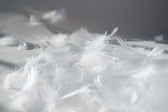 サンプルイメージ